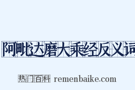 阿毗达磨大乘经反义词是什么意思的图片